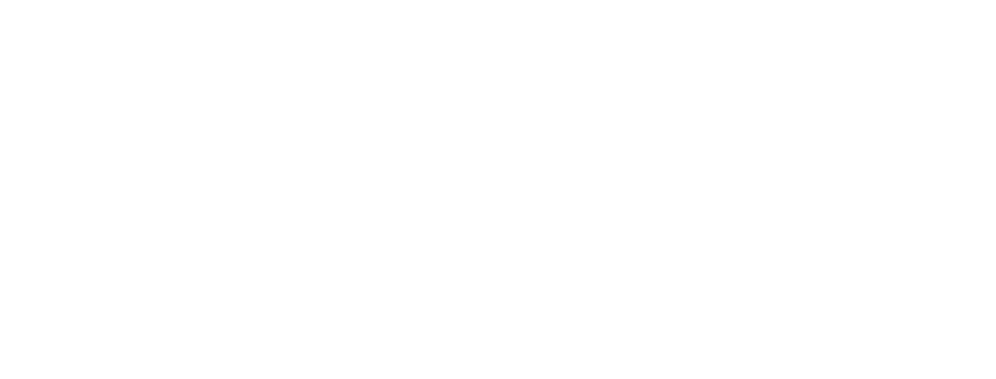 Hansefit Logo